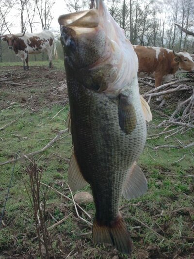 2012-04-15 08.47.57.jpg