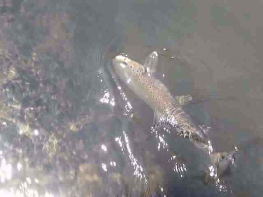 20120423160708.jpg