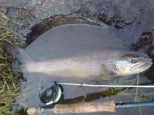 20120423160742.jpg
