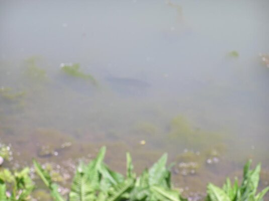 SPAWN and BAT BOAT 009.jpg
