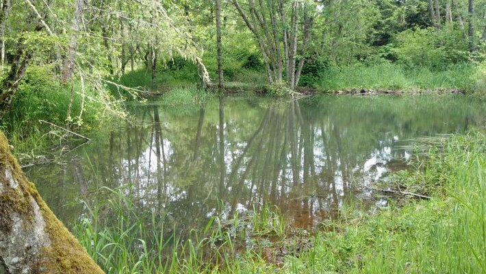2012-05-29_11-49-32_759.jpg