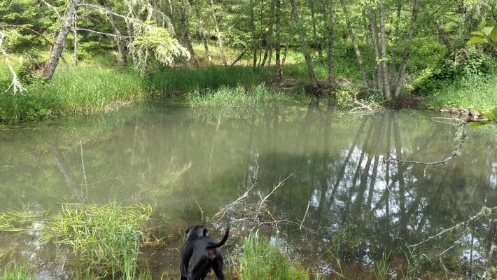 2012-05-29_11-48-38_356.jpg