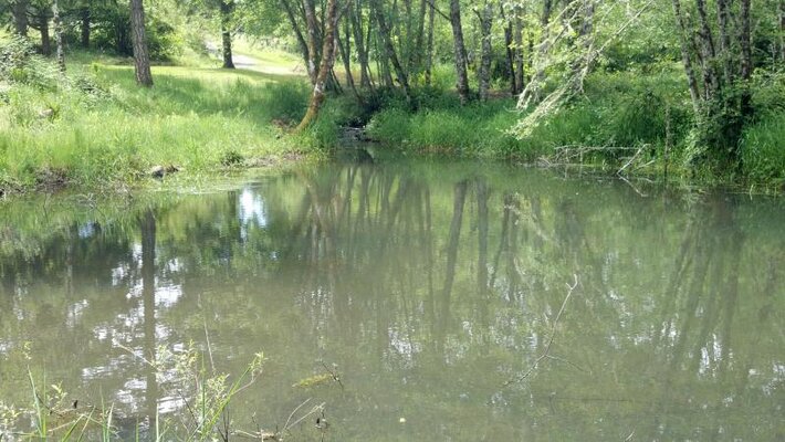 2012-05-29_11-54-30_789.jpg