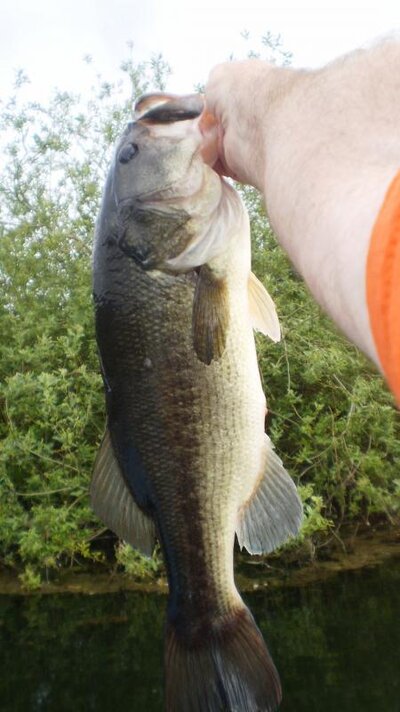 6-1-12 010.jpg