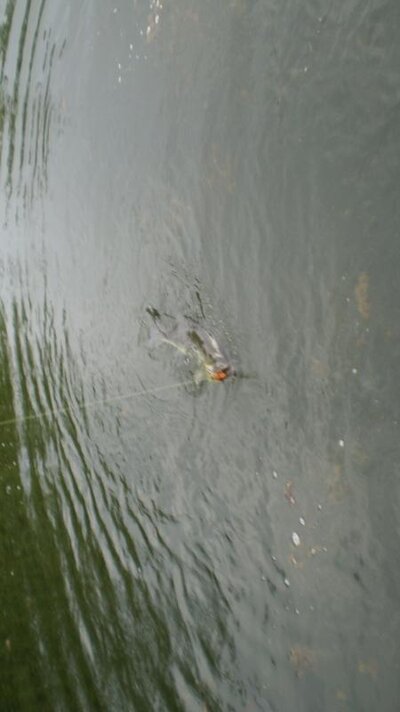 6-1-12 008.jpg