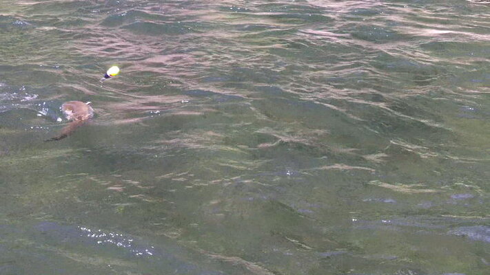 7-12-2012_013.jpg 7-12-2012_013.jpg