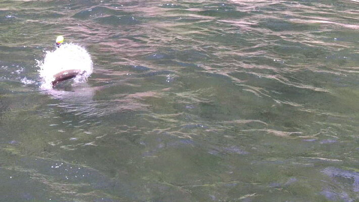 7-12-2012_014.jpg 7-12-2012_014.jpg