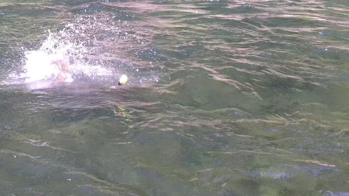 7-12-2012_019.jpg 7-12-2012_019.jpg