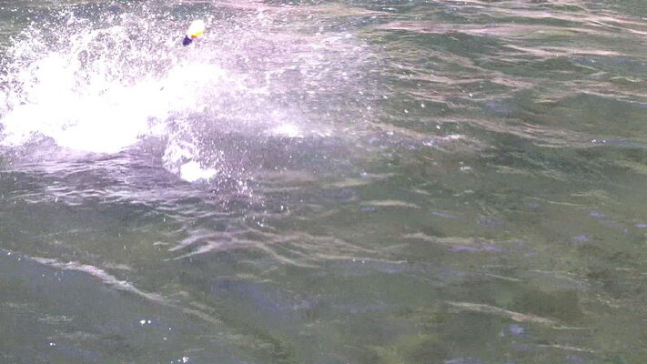 7-12-2012_020.jpg 7-12-2012_020.jpg