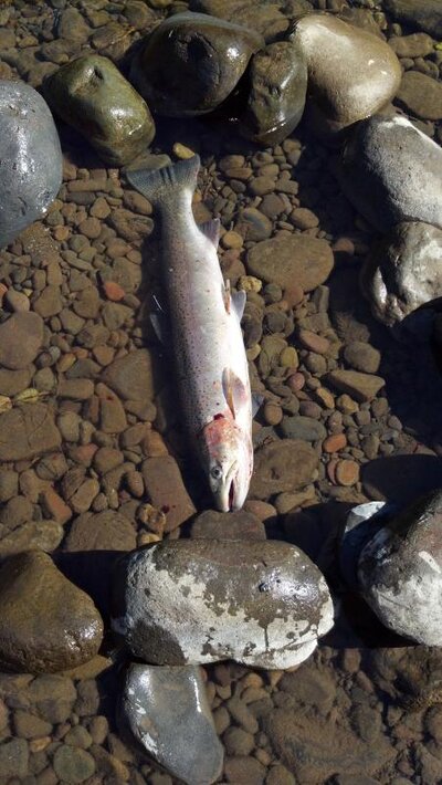 2012-07-13_09-31-27_836.jpg 2012-07-13_09-31-27_836.jpg