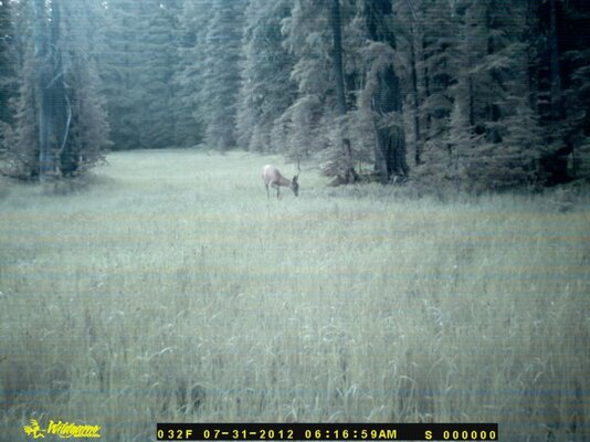 DSC_0061.jpg DSC_0061.jpg