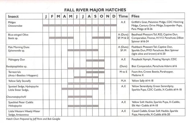 fall river hatches.jpg