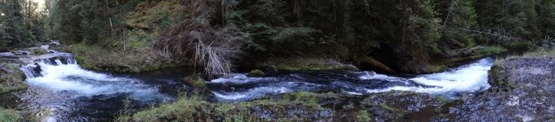 DSC00262.jpg