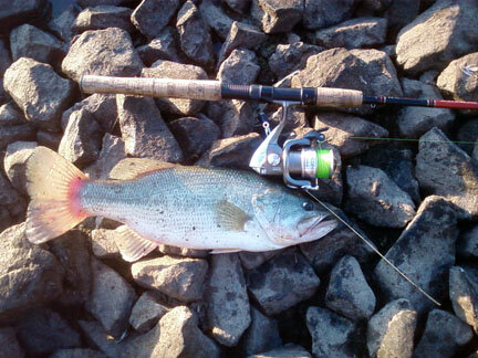 17in Bass 9-6-12.jpg