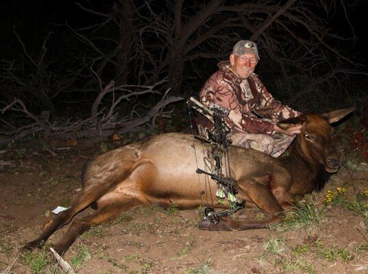 2012cow.jpg