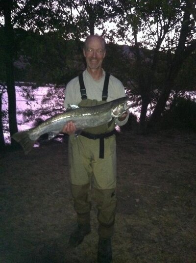 35-inch-steelhead.jpg