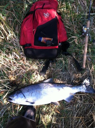 32-inch-salmon.jpg