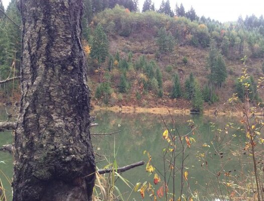 Mercer Res November 4 2012 018.jpg Mercer Res November 4 2012 018.jpg