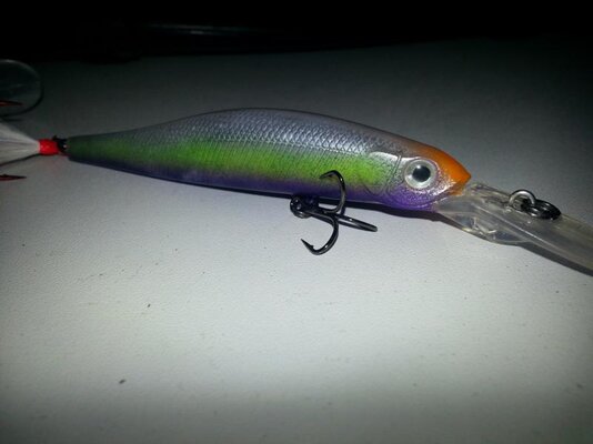 20121114_174236.jpg
