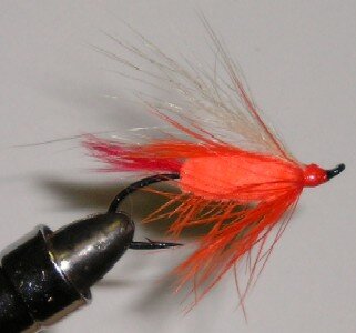 Polar Shrimp Steelhead Fly.jpg