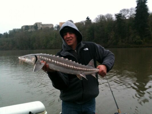 My 1st Sturgeon 2012.jpg My 1st Sturgeon 2012.jpg