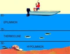 thermoclines.jpg