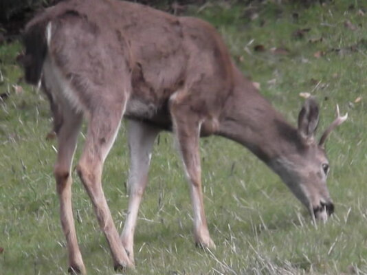 DSCF1113.JPG DSCF1113.JPG