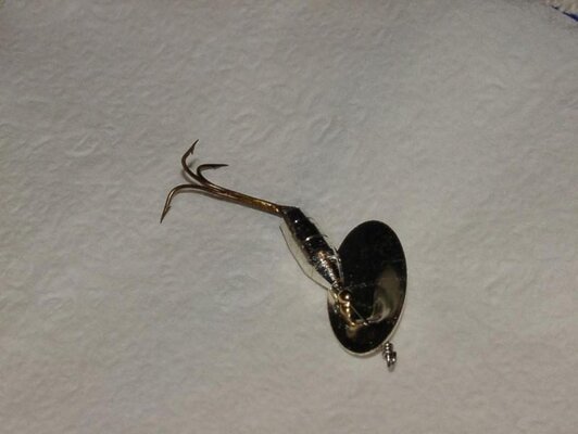 hook_after_fish_Feb_3_2013.jpg