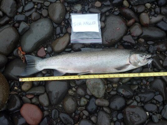 2013-02-11_16-39-45_716.jpg 2013-02-11_16-39-45_716.jpg