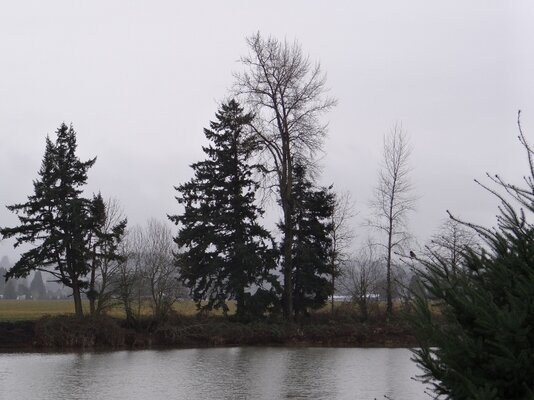 DSC00326 (800x600).jpg