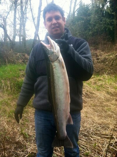 Alsea River Fishing Reports