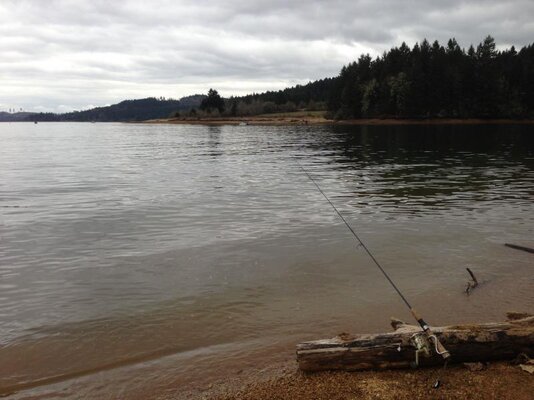 Hagg Lake scenery March 2 2013 003.jpg
