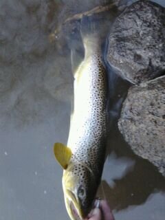 20130306_174722.jpg