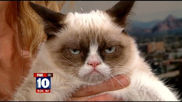 grumpy cat.jpg