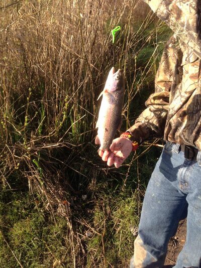 First fish!.jpg