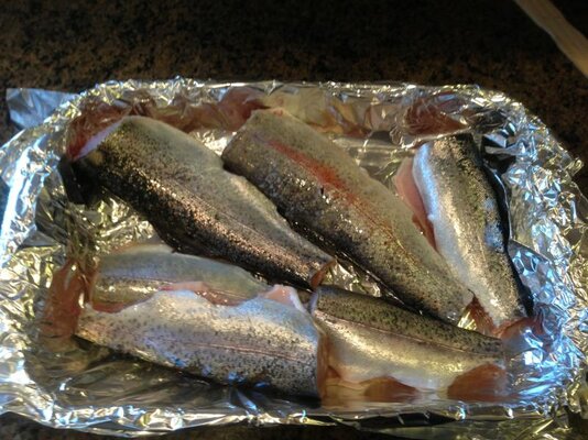 gutted trout.jpg
