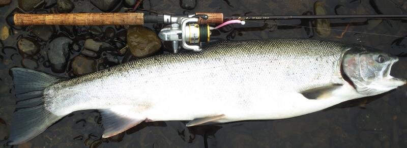 16lber.jpg