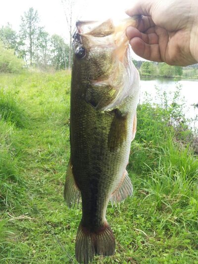 20130428_162815.jpg