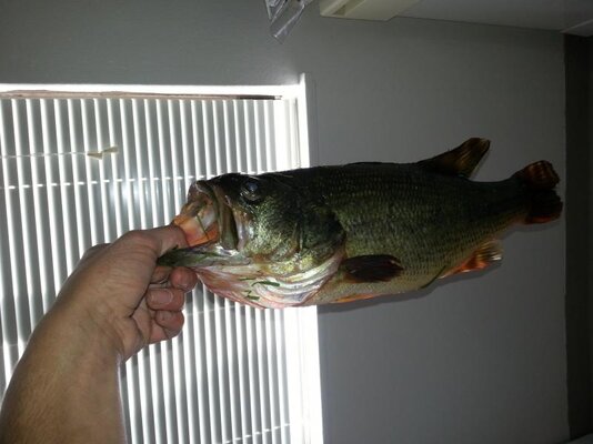 20130430_160006.jpg