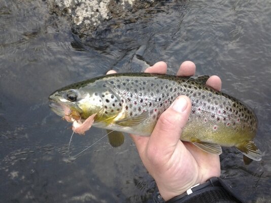 20130511_063428.jpg