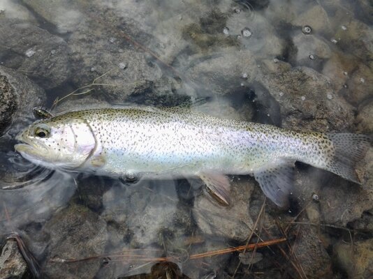 20130402_152638.jpg