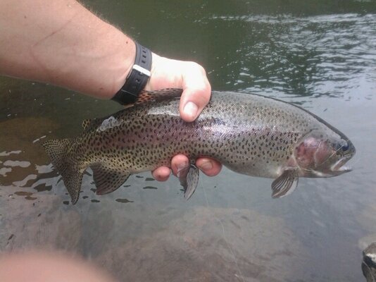 20130513_111500.jpg