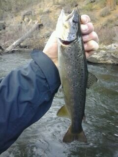 20130413_092055.jpg