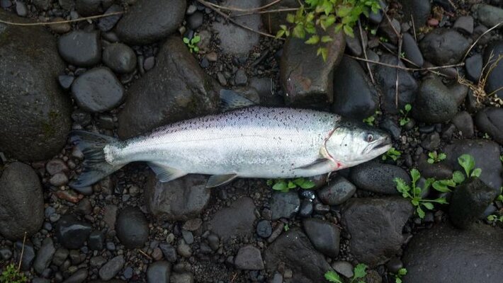 2013-05-19_06-46-53_653.jpg 2013-05-19_06-46-53_653.jpg