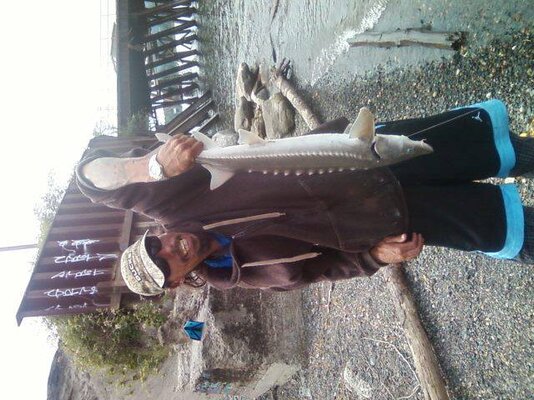 First sturgeon.998115_3157575234409_1345799533_n.jpg