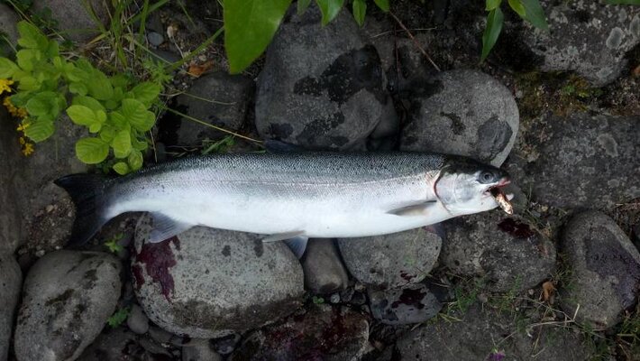 2013-06-17_16-12-54_156.jpg 2013-06-17_16-12-54_156.jpg