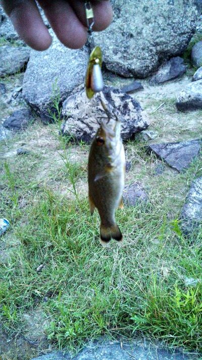 IMG_20130623_205507_686.jpg