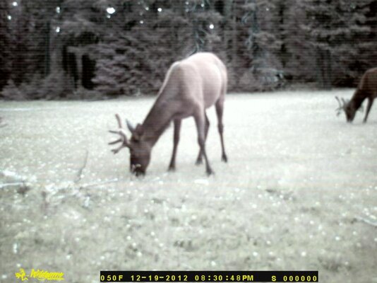DSC_0036.jpg DSC_0036.jpg