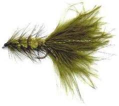woolly bugger.jpg