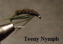 Teeny Nymph.JPG